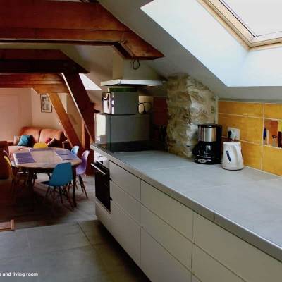 Borieta Farmhouse Southern French Alps Le Béal -modern kitchen.jpg